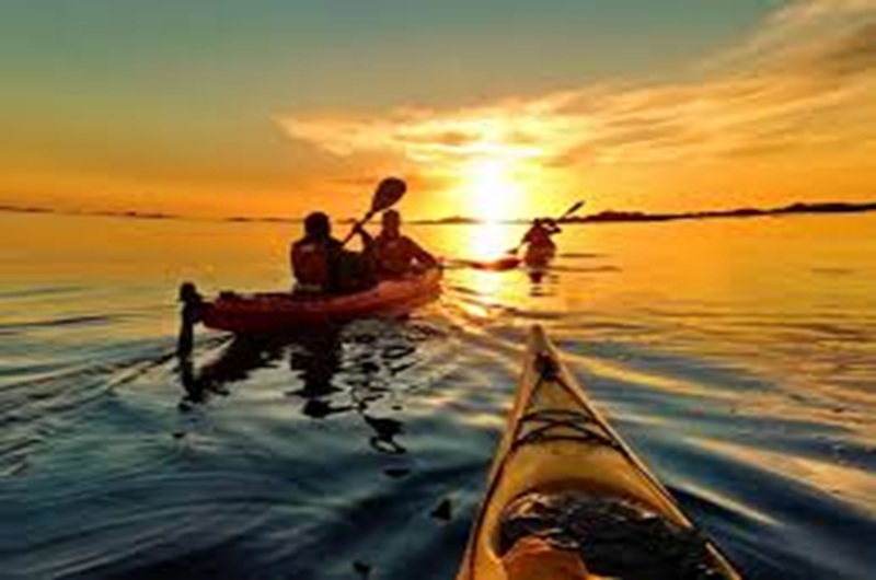 Kayaking in Goa – Backwaters & Bay Trails by Bayview